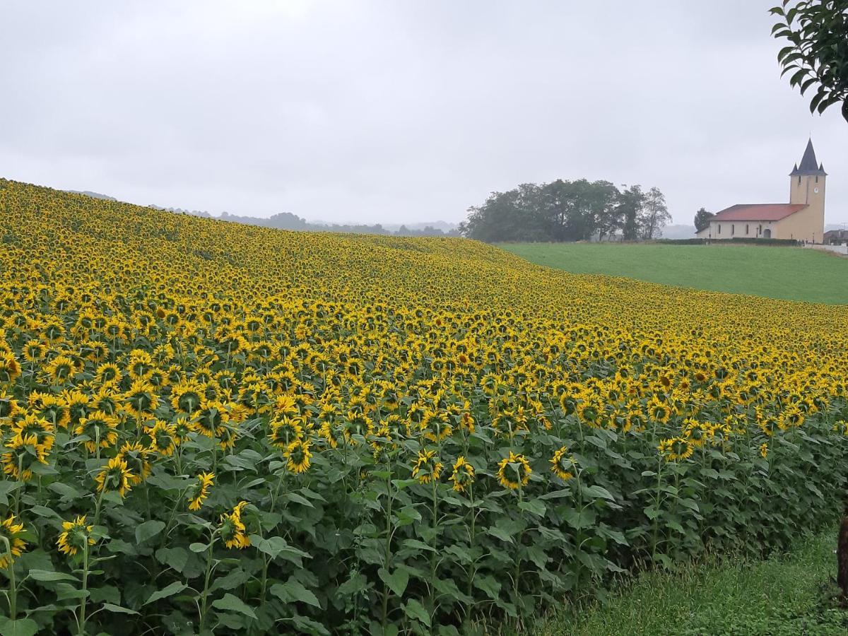 Gite L'Ecureuil*** Mouscardes Exteriér fotografie